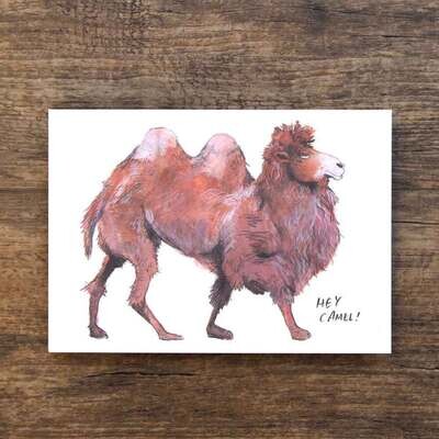 黑山 Kathy Lam Postcard《嘿！駱駝 Hey Camel!》