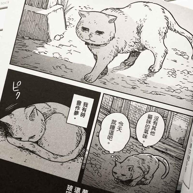 園田ゆり《貓咪好夥伴小圓圓和小八》第 1 期