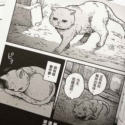 園田ゆり《貓咪好夥伴小圓圓和小八》第 1 期