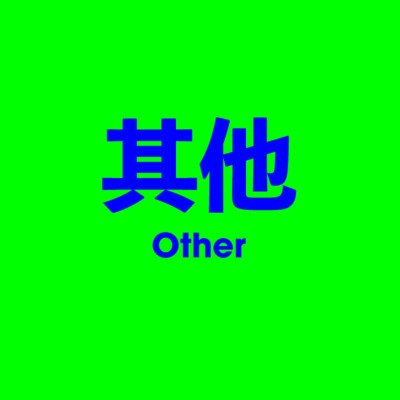 其他 Other