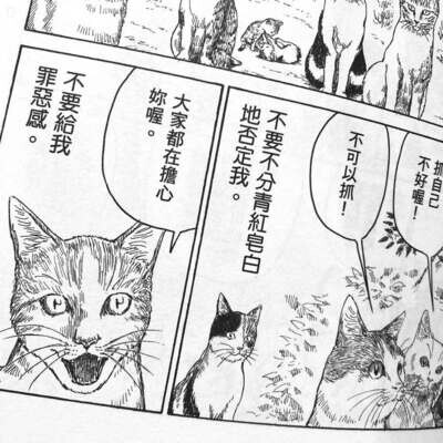 岡田索雲《陽光妖怪》