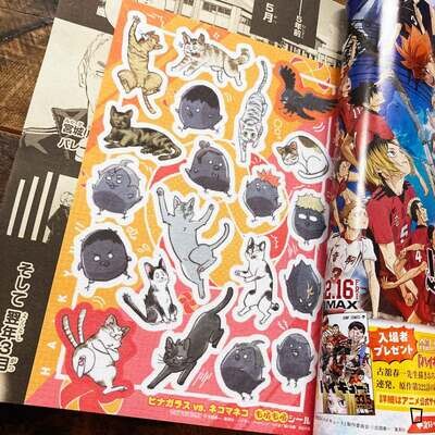 《排球少年 !!》JUMP 特集「垃圾場的決戰」(日文版)