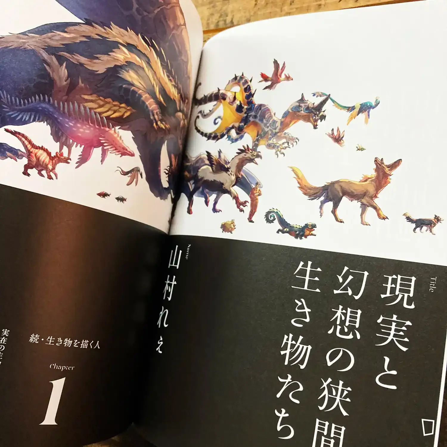 ◇川崎春彦画集 限定150部 実業之日本社発行 1983年発売◇