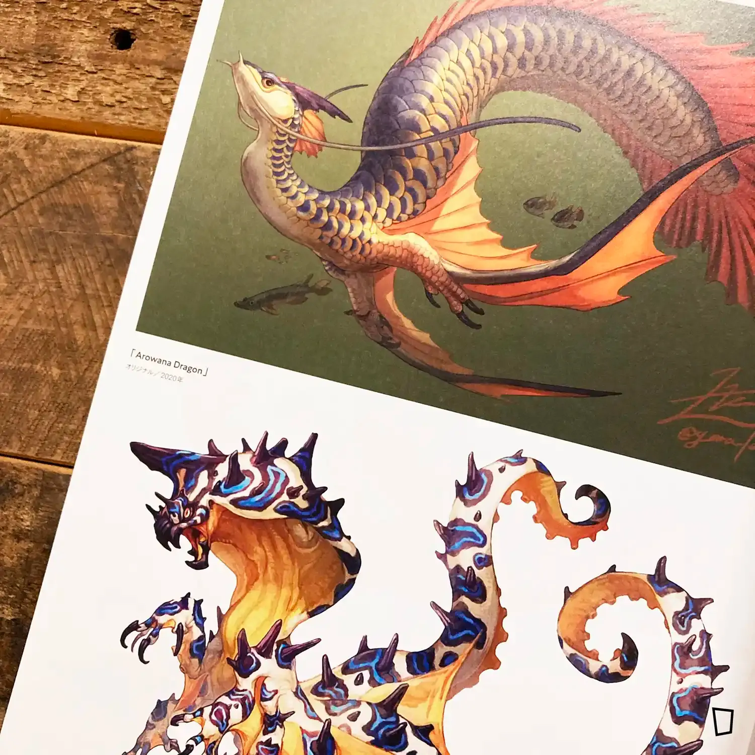 特集：續．描繪生物之人《illustration》No.242 - 2024 年5 月號