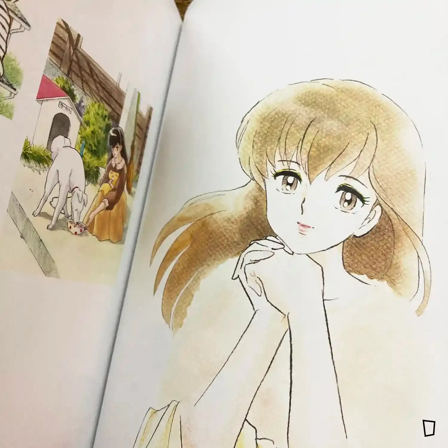 鳥山明　高橋留美子　画集セット 高橋留美子《高橋留美子原畫集COLORS 1978–2024》（日本版）