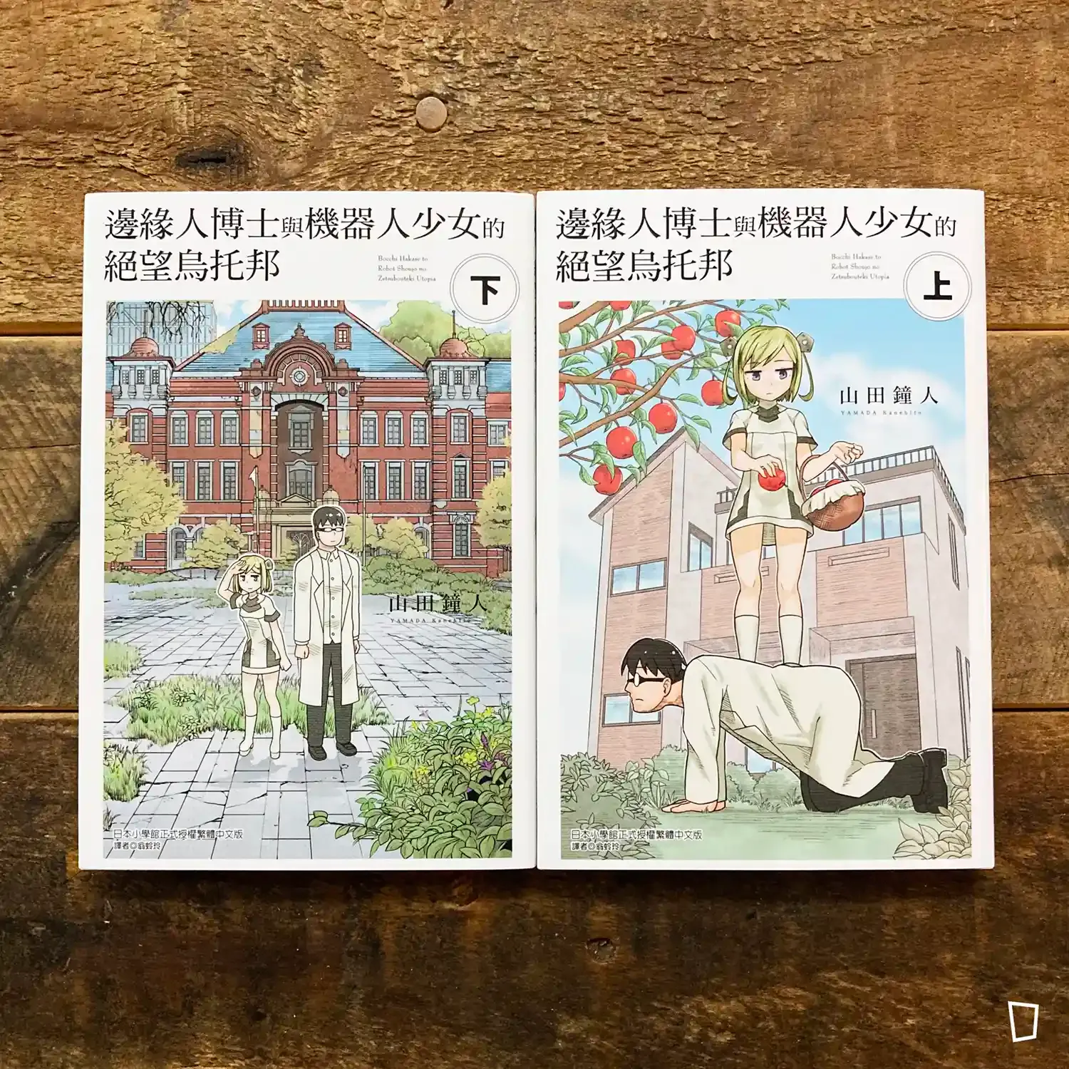 山田鐘人《邊緣人博士與機器人少女的絕望烏托邦》上/下全套 山田鐘人《邊緣人博士與機器人少女的絕望烏托邦》上/下全套