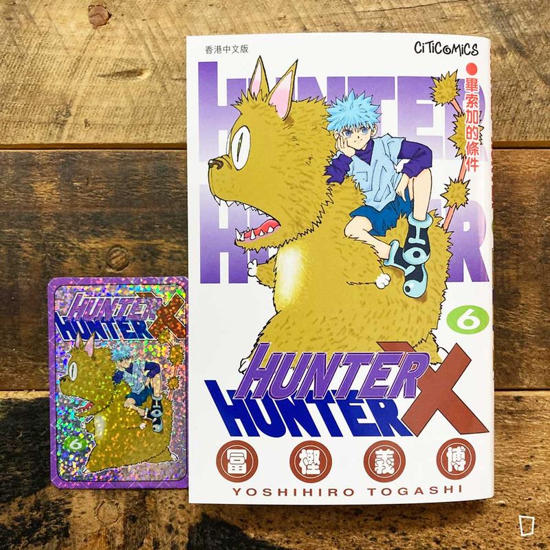 冨樫義博《HUNTER X HUNTER》第 6 期（香港中文版）