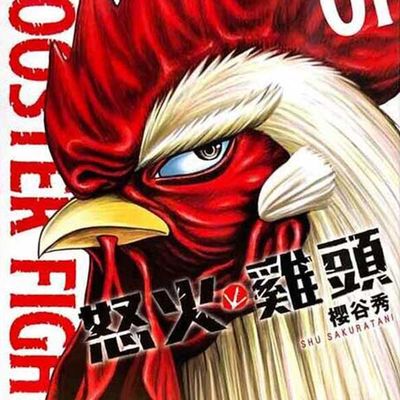 怒火雞頭 ROOSTER FIGHTER