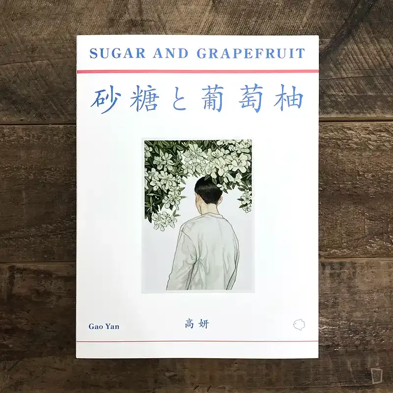 高妍 Gao Yan 作品集《砂糖と葡萄柚／塩と西瓜》