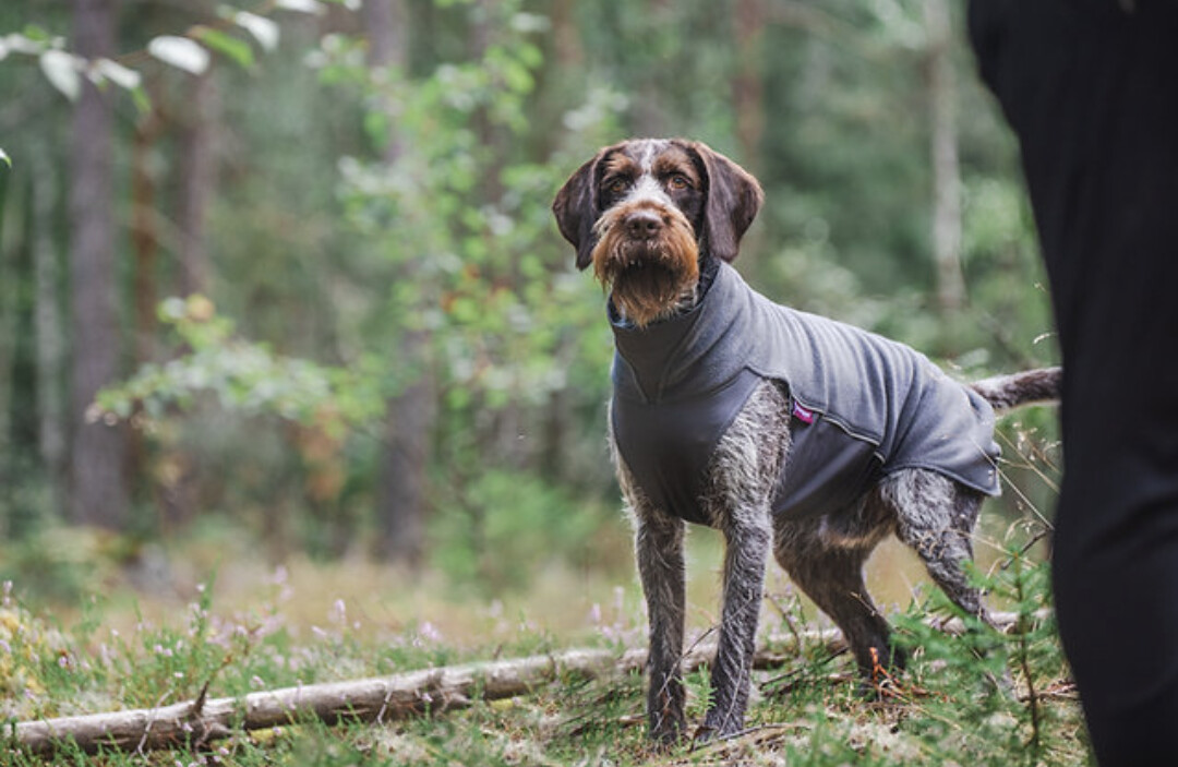 JumppaPomppa Fleecepullover Graphite JumppaPomppa Fleecepullover Graphite