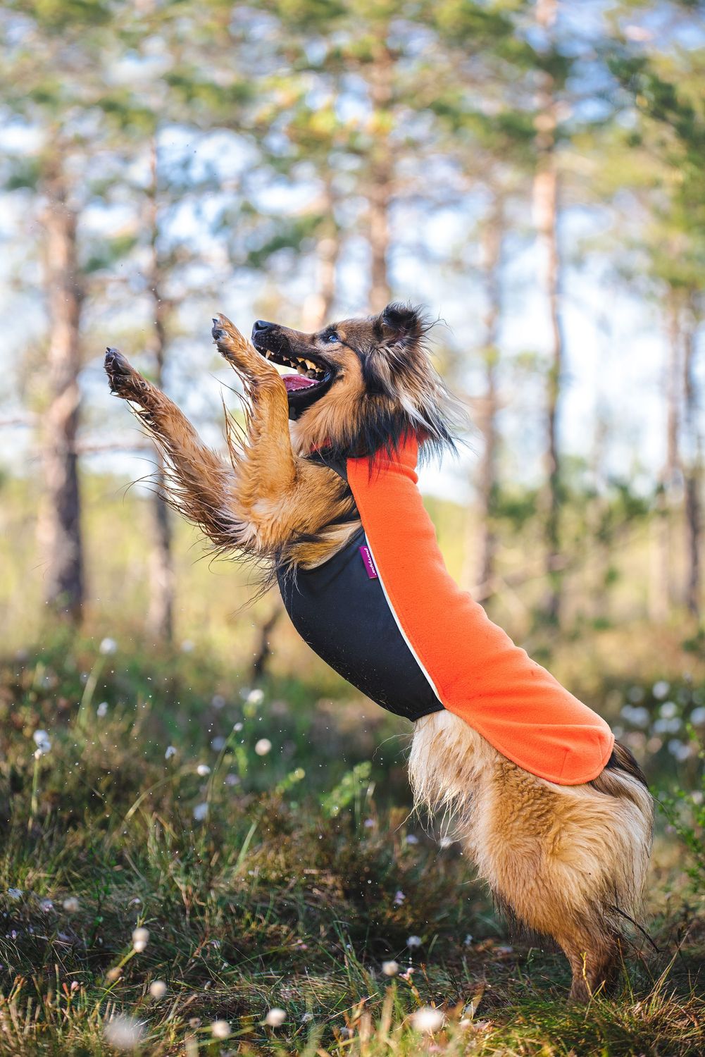 JumppaPomppa Fleecepullover Habanero