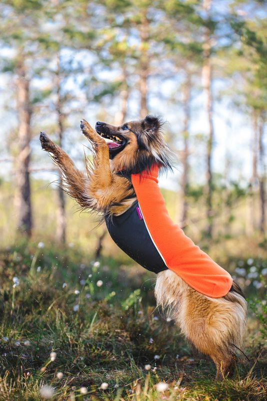 JumppaPomppa Fleecepullover Habanero