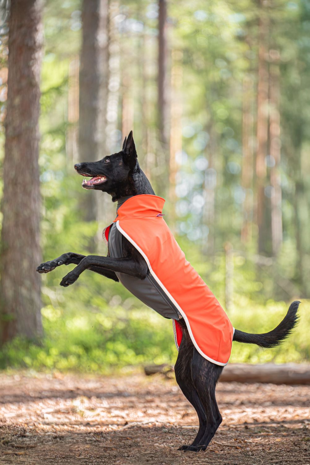 SporttiPomppa Softshellmantel Habanero