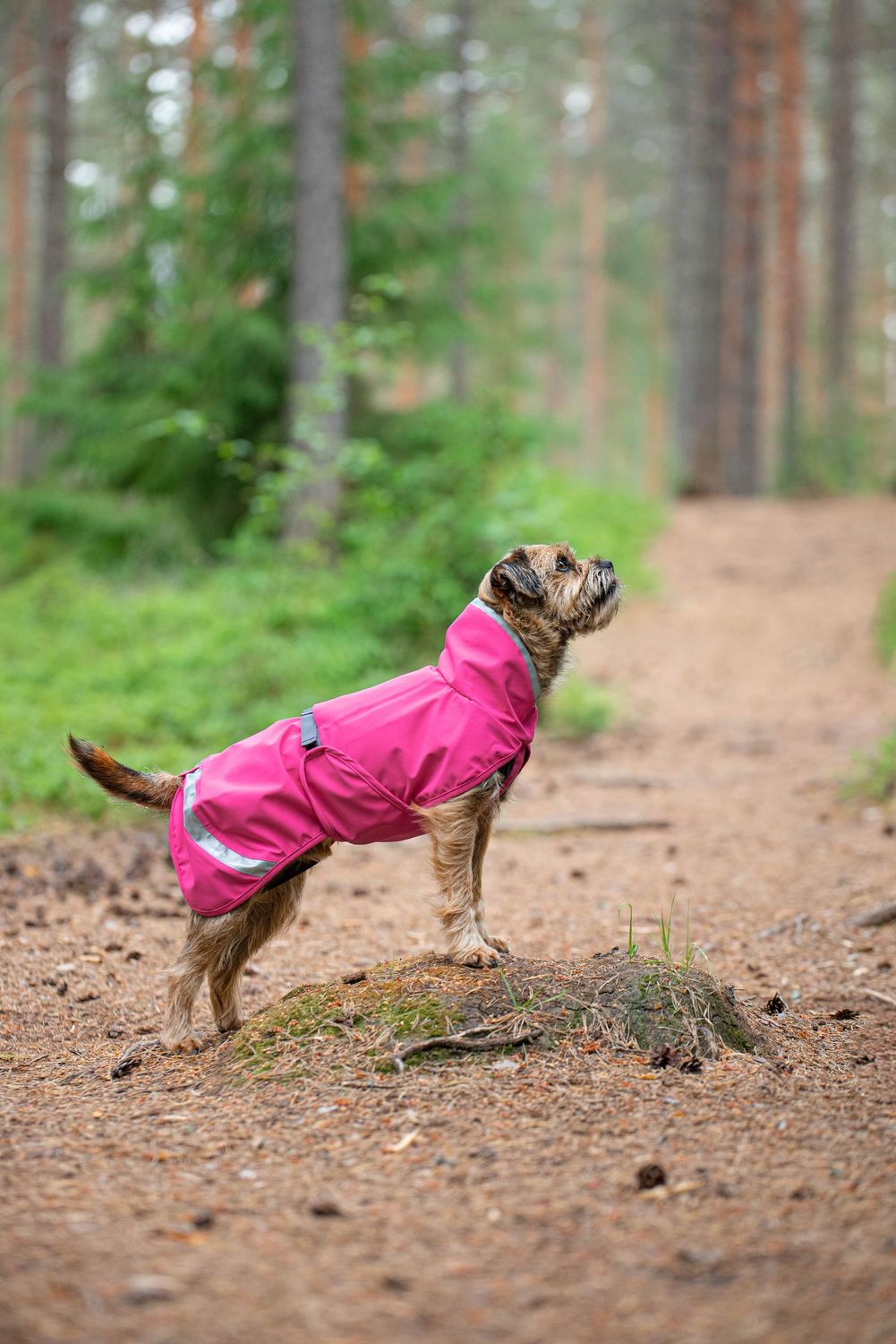 KouriPomppa Regenmantel Pink KouriPomppa Regenmantel Pink