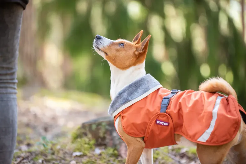 KevytPomppa leicht gefütterter Regenmantel Rust