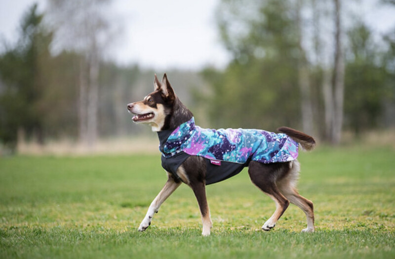 JumppaPomppa Fleecepullover Aurora JumppaPomppa Fleecepullover Aurora