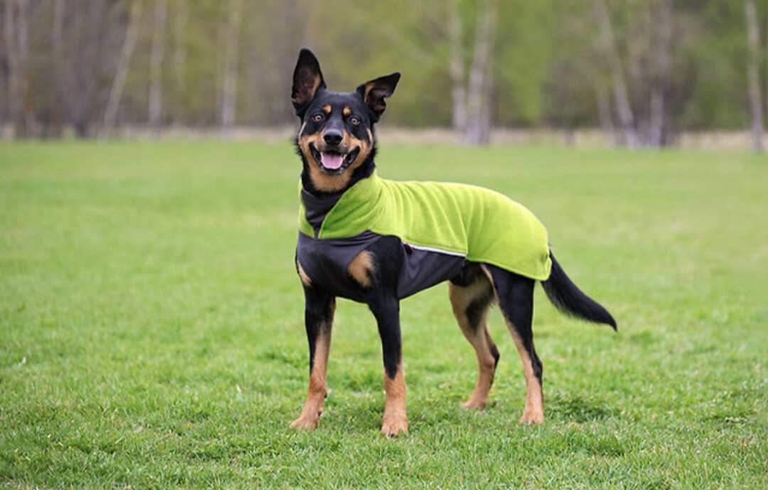 JumppaPomppa Fleecepullover Lime JumppaPomppa Fleecepullover Lime