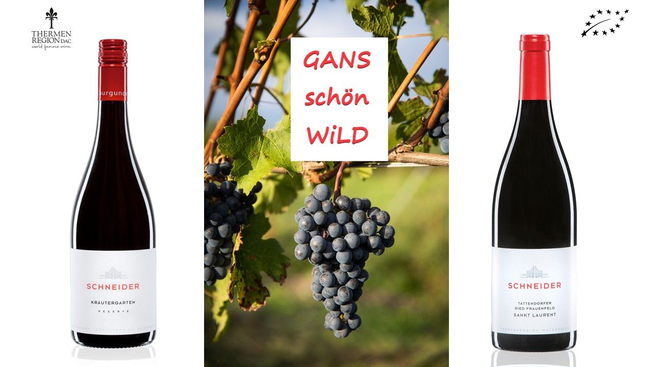 GANS schön WiLD Paket