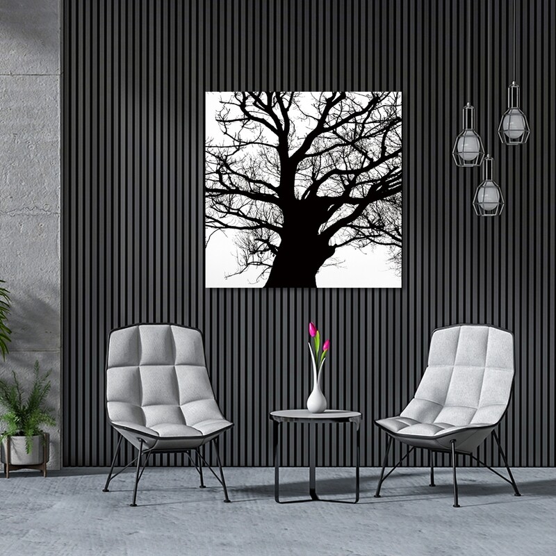 Looking Up Tree Black and White  - Modern Luxury Wall art Printed on Acrylic Glass - Frameless and Ready to Hang