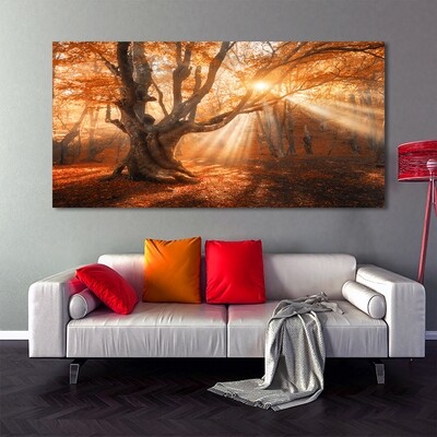 Autumn Forest - Modern Luxury Wall art Printed on Acrylic Glass - Frameless and Ready to Hang