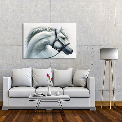 White Stallion  - Modern Luxury Wall art Printed on Acrylic Glass - Frameless and Ready to Hang