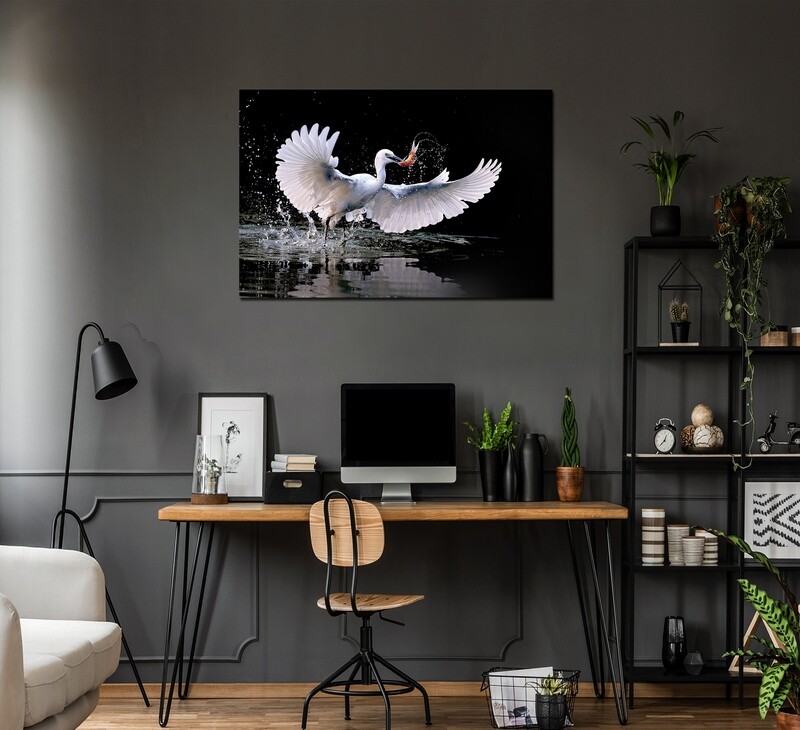 Crane Fish Catch Picture Printed on Frameless Acrylic Glass - Modern Luxury Acrylic Glass Wall art - Frameless and Ready to Hang