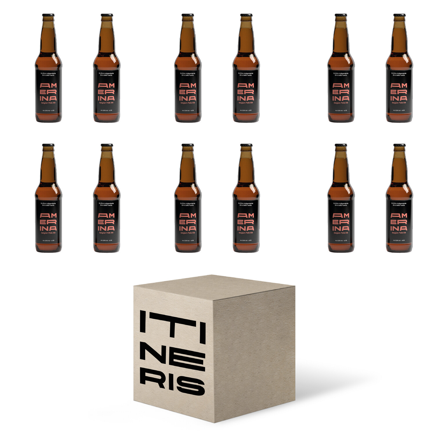 BOX ITINERIS AMERINA  GLUTEN FREE 12 bottiglie da 330 ml
