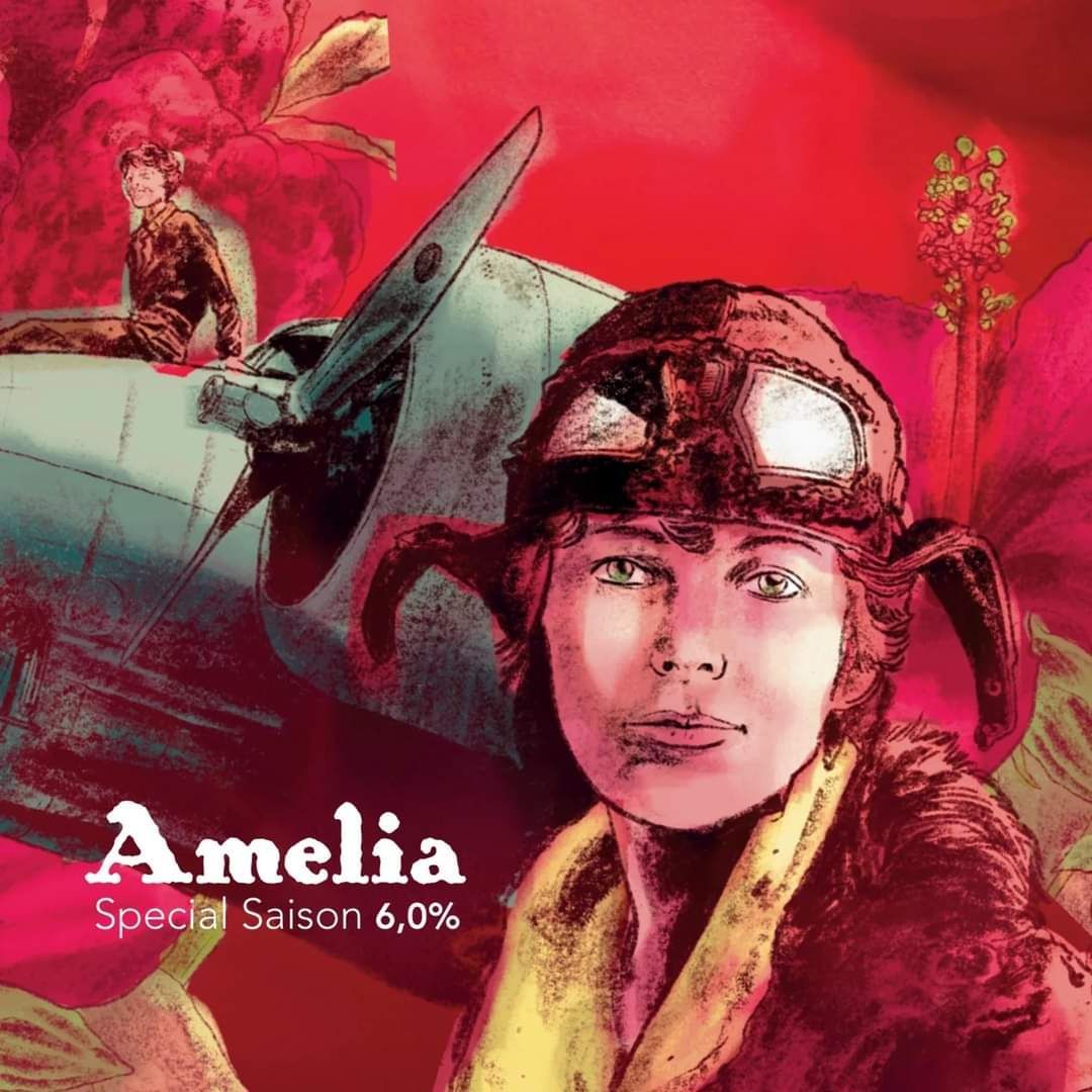 BOX ITINERIS AMELIA 12 bottiglie da 330 ml