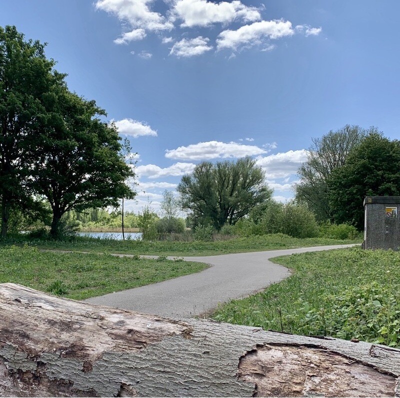Wandelcoaching 1 uur