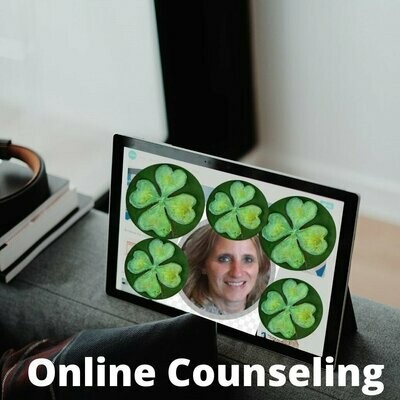 Online Counselingssessie 60 minuten