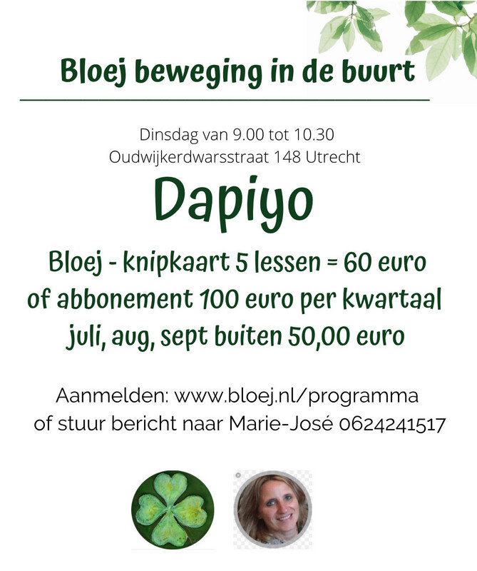Dapiyo knipkaart 5x met Upas