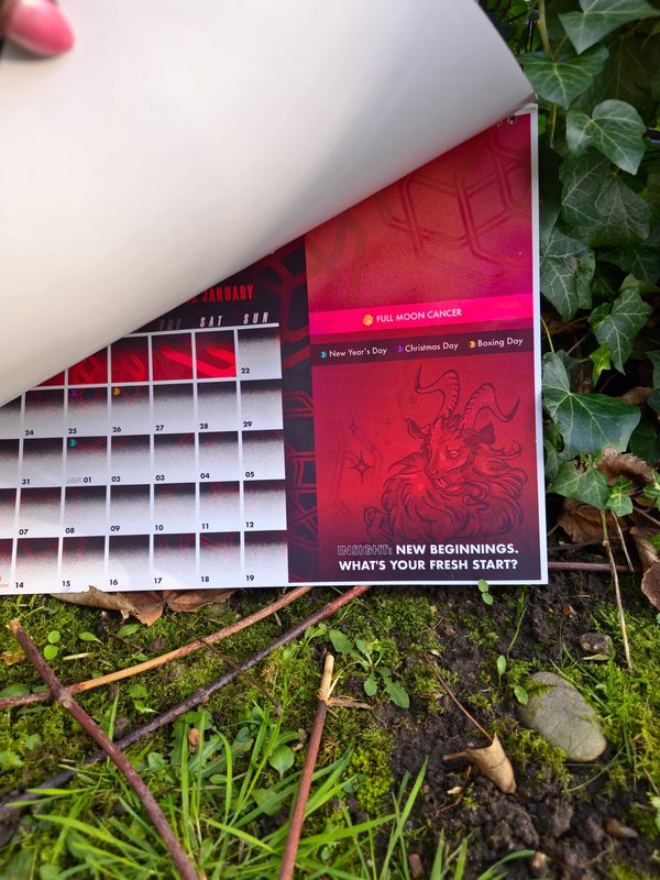 Deepsigns 2025 Calendars