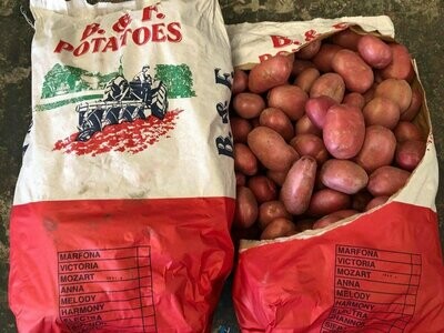 Sack of Red Potatoes