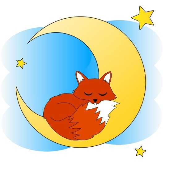 E-Book - Applikationsvorlage - Gute Nacht Tiere Fuchs