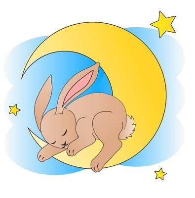 E-Book - Applikationsvorlage - Gute Nacht Tiere Hase