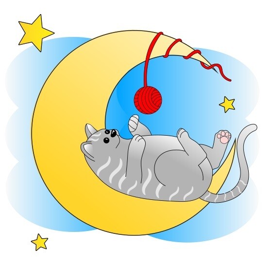 E-Book - Applikationsvorlage - Gute Nacht Tiere Katze