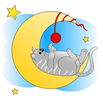 E-Book - Applikationsvorlage - Gute Nacht Tiere Katze