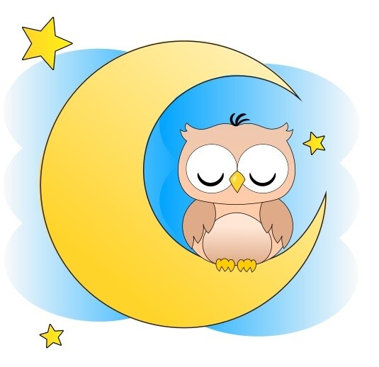 E-Book - Applikationsvorlage - Gute Nacht Tiere Eule