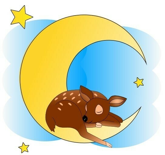 E-Book - Applikationsvorlage - Gute Nacht Tiere Reh