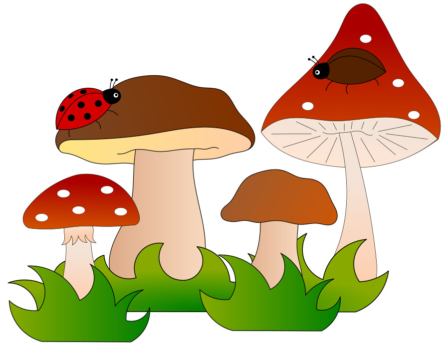E-Book - Applikationsvorlage - Im Wald