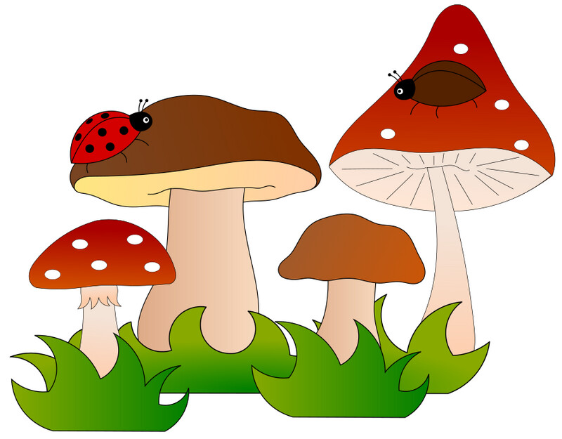 E-Book - Applikationsvorlage - Im Wald E-Book - Applikationsvorlage - Im Wald