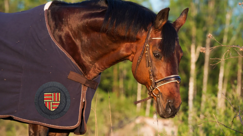 Écu pour tapis de selle ou couverture de cheval (lot de 2 pièces)