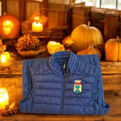Gilet matelassé homme