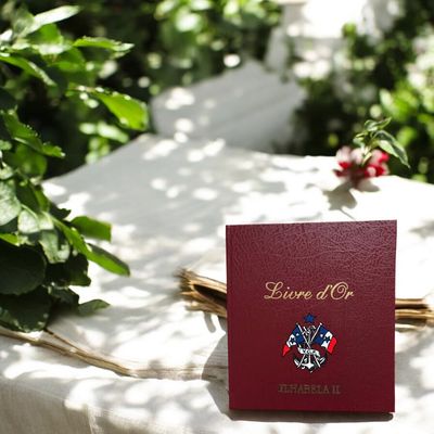 Livre d&#39;or avec peinture blason