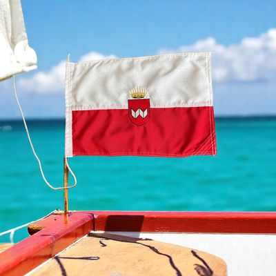 Drapeaux ( Prix sur devis )   Taille minimum 25cm x 25cm