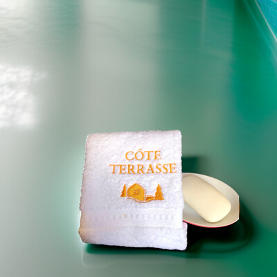 Serviettes pour invités 30x30 cm (6 pcs)