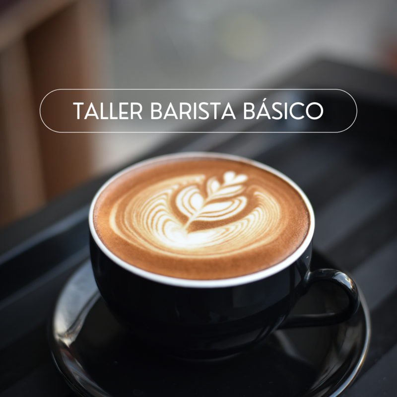 Taller Barista Básico