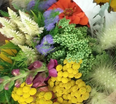 Flower Subscription Group 1 Pickup
(6 Bouquets - Summer thru Fall)