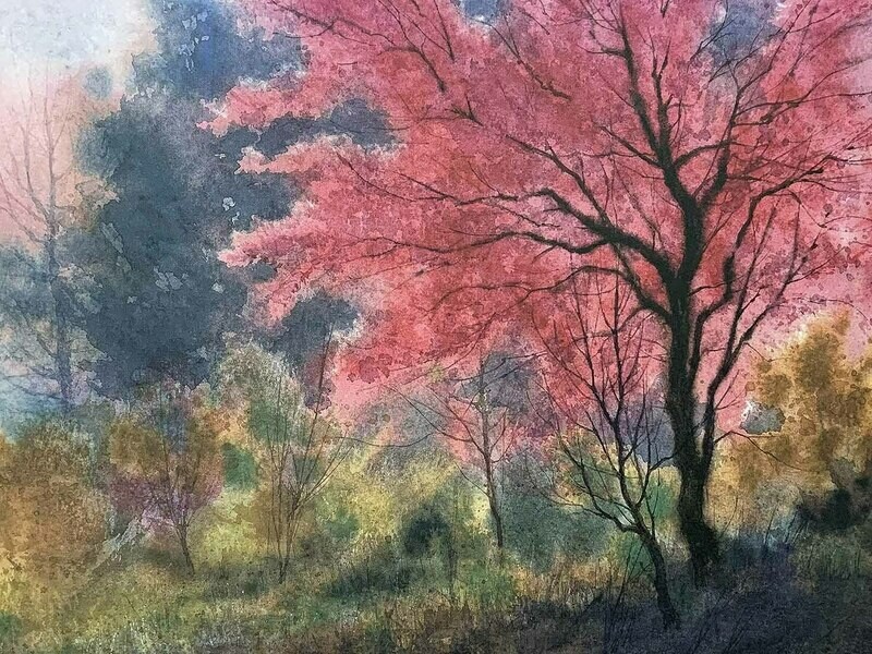 RED BUD - Litho-17 x 12