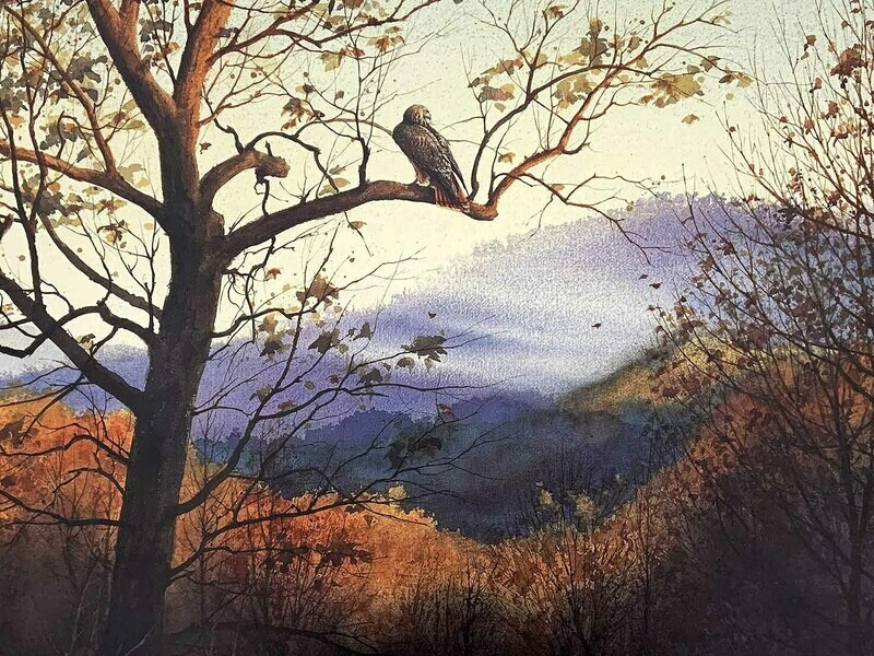 RED-TAILED HAWK - Litho-22 ½ x 17